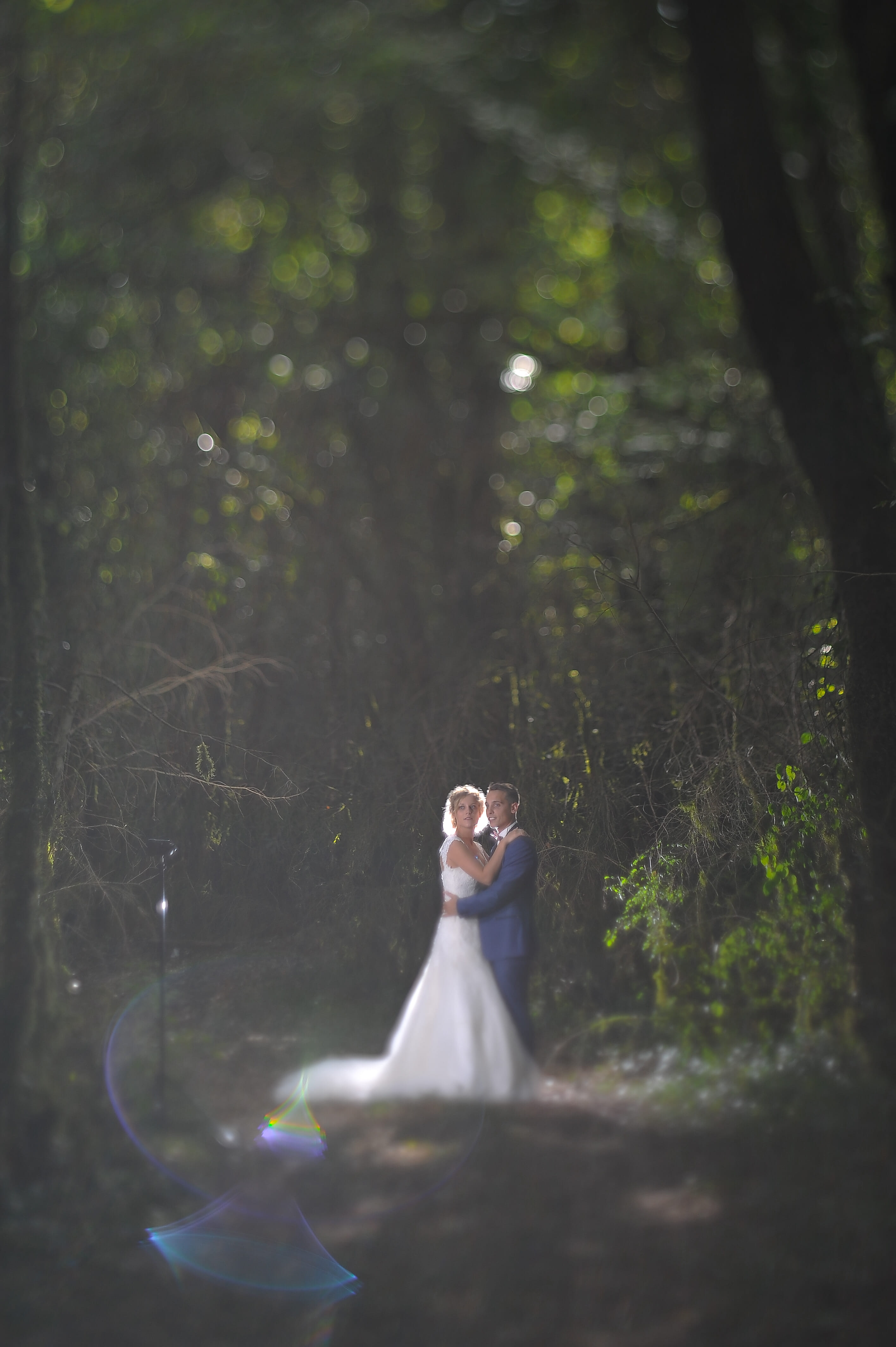 trash_the_dress photo