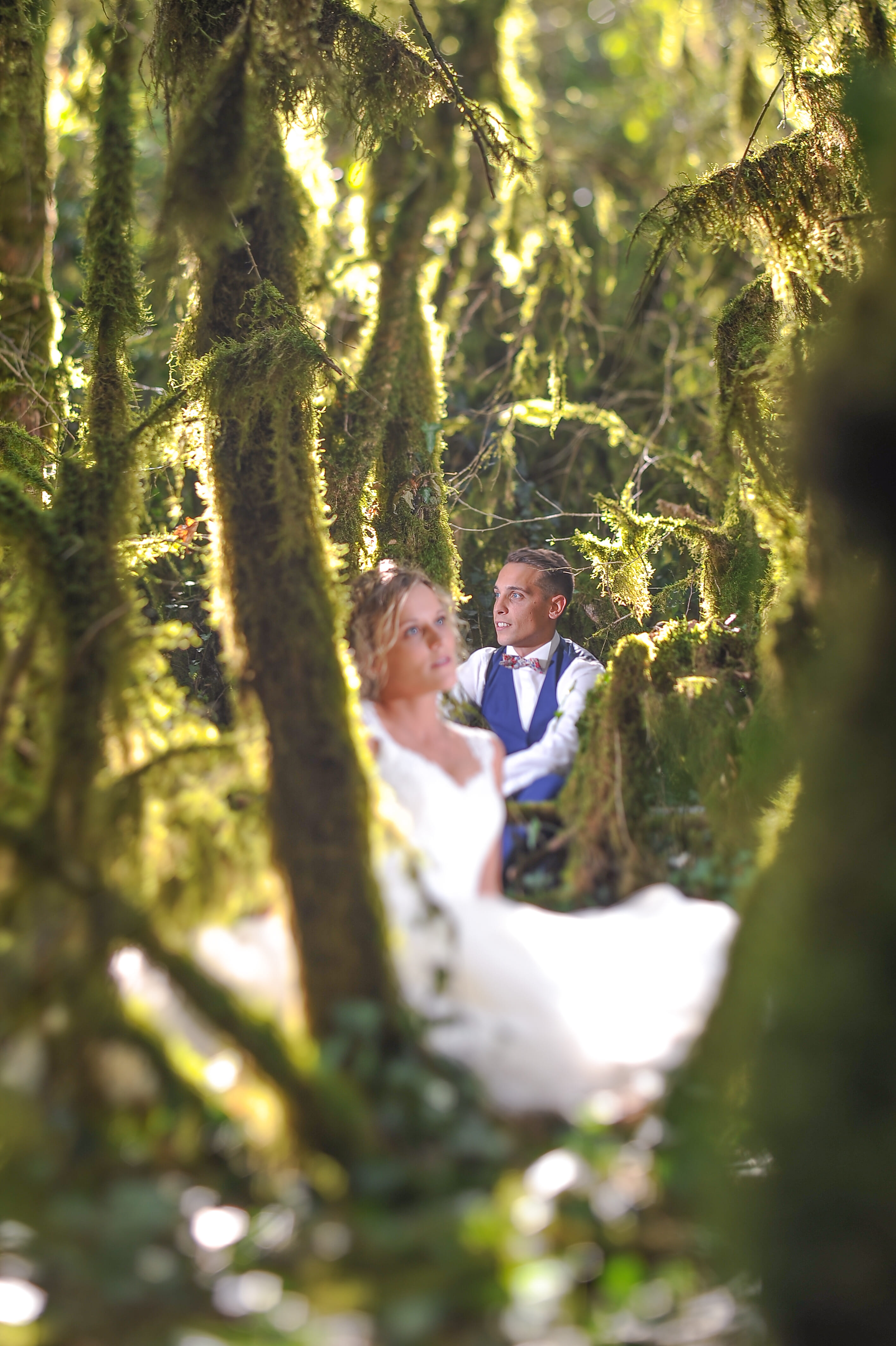trash_the_dress photo