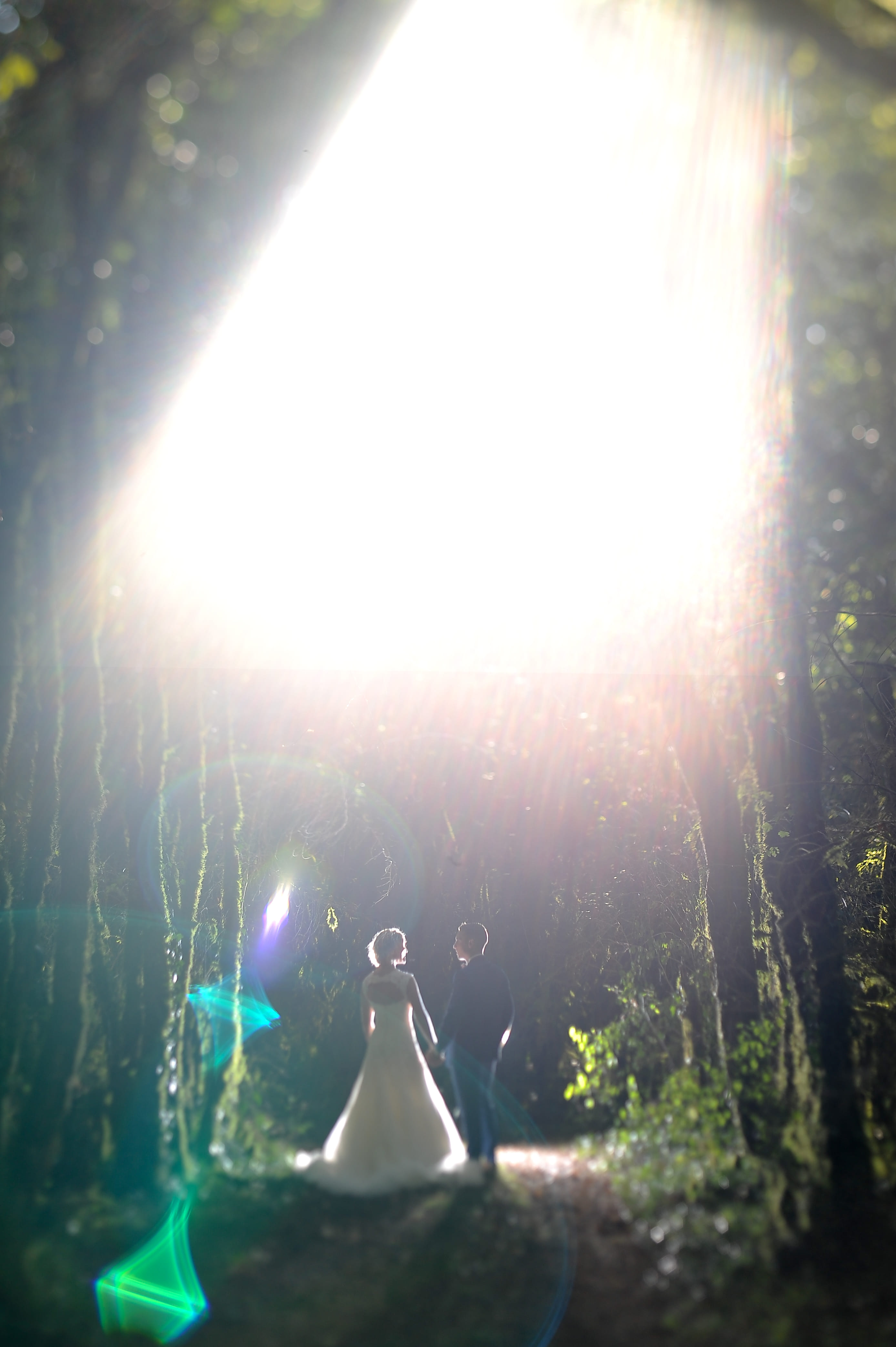 trash_the_dress photo