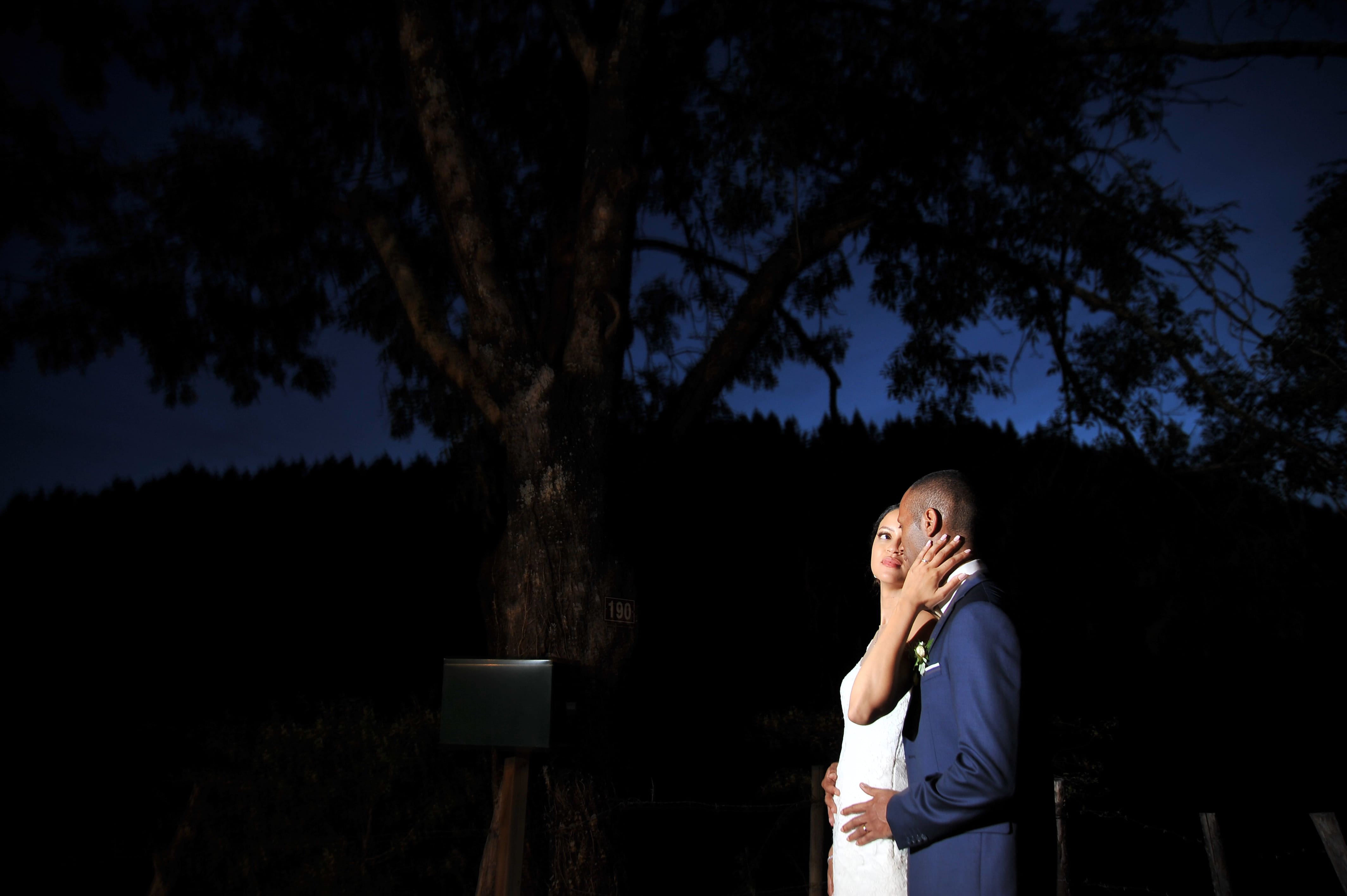 weddings photo